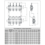 Колектор з витратомірами Raftec 1'х8